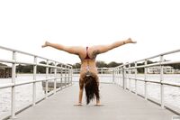 Sasha Apex - Textbook Florida (Zishy)