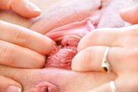 Sage Pillar - FTV Girls 1