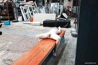 Melany Mendes - Submissed