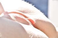 Myra Glasford, Sylvie Sterling - FTV Girls 3