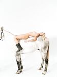 Ryan Hadarah - Playboy Plus