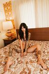 Dallas Maxwell - Playboy Plus