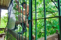 Leah - The Life Erotic