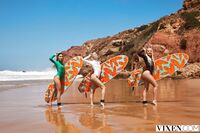 Bella Spark, Christy White, Kelly Collins - Vixen