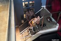 Kylie Quinn - King BBC