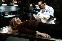 Ashley Lane - Pure Taboo