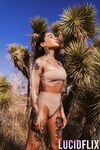 Honey Gold - Lucid Flix