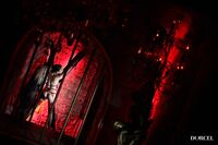 Eve Sweet, Tiffany Leiddi - Dorcel Club