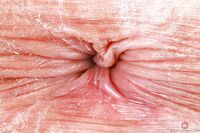 Rose Caarter - ATK Galleria