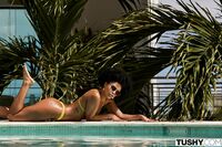 Selva Lapiedra - Tushy