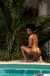Selva Lapiedra - Tushy