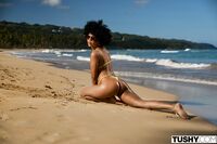 Selva Lapiedra - Tushy