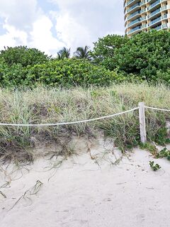 Sofie Reyez, JC Wilds - Immoral Live