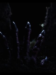 Clemence Audiard, Kelly Collins, Lia Lin, Rikako Katayama - Hentaied