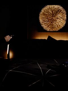 Penny Park - Freeze XXX